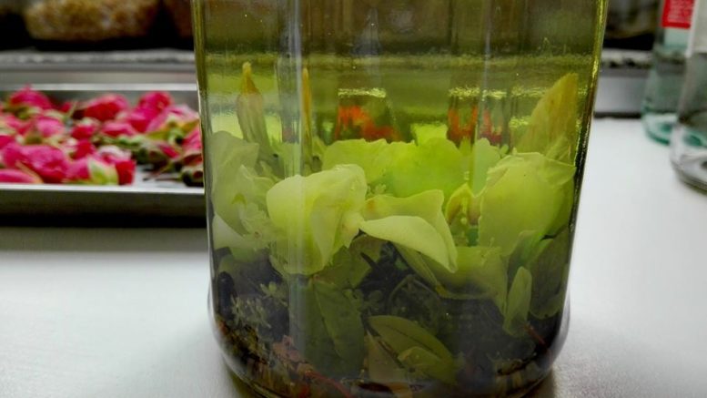 amaro erbe aromatiche e spezie